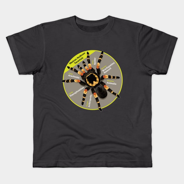 Tarantula Kids T-Shirt by Rosado